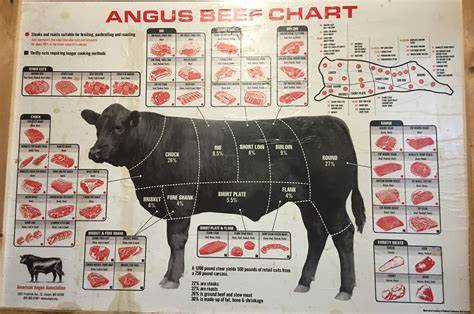 How to Buy a Whole Cow: A Step-by-Step Guide