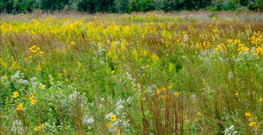 CAJUN PRAIRIE MEMBERSHIP