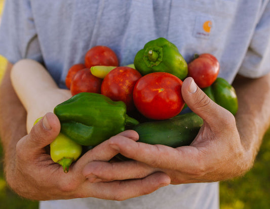 CSA VEGETABLE BOX